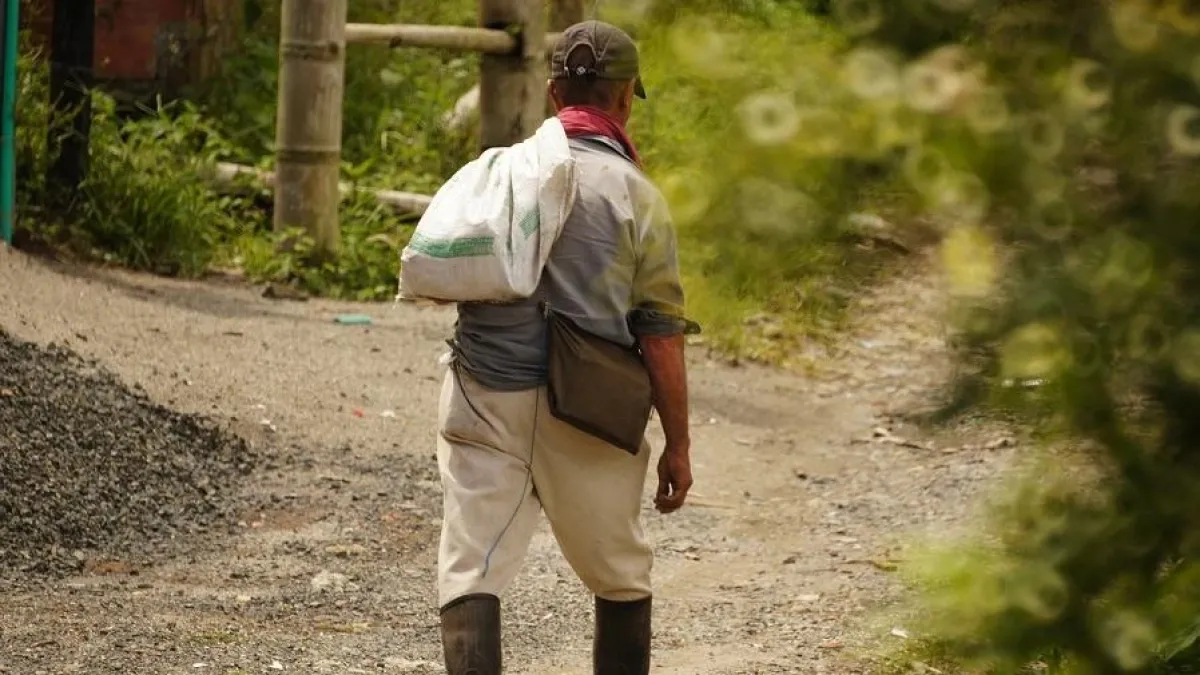 Diez años después, la transformación del campo sigue atascada en Colombia
