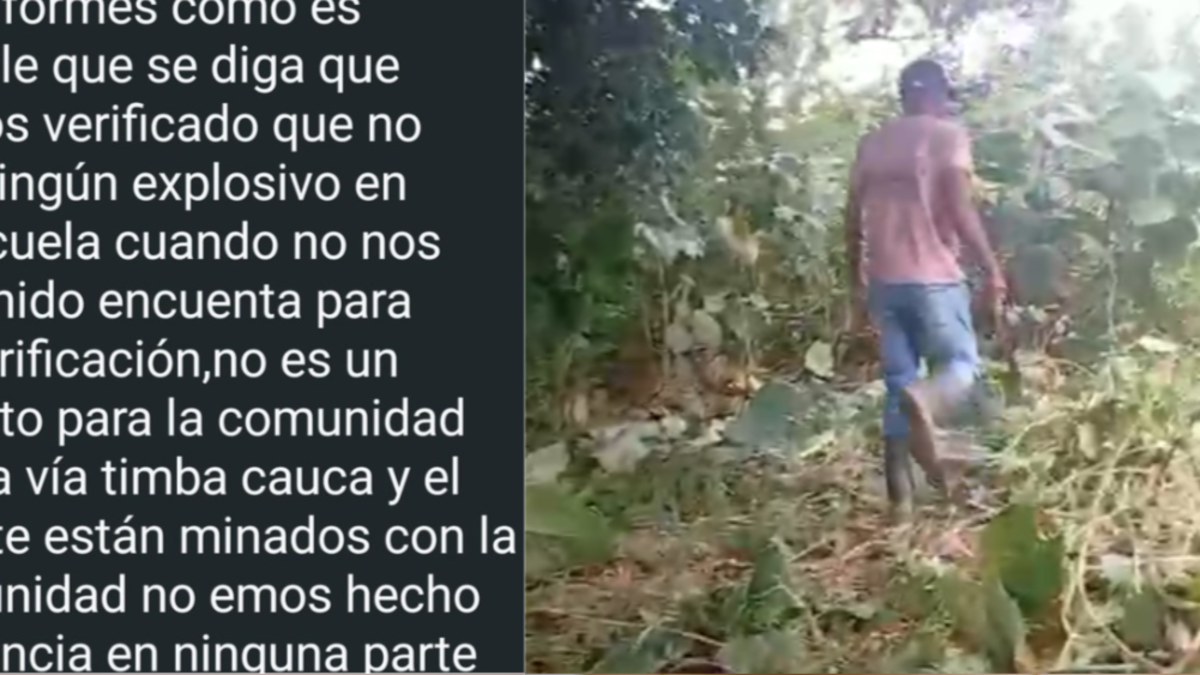 ¿Cuál es la realidad sobre presuntos explosivos en una escuela de niños y en red de conexión de gas en Jamundí, Valle? Revelan nuevos detalles
