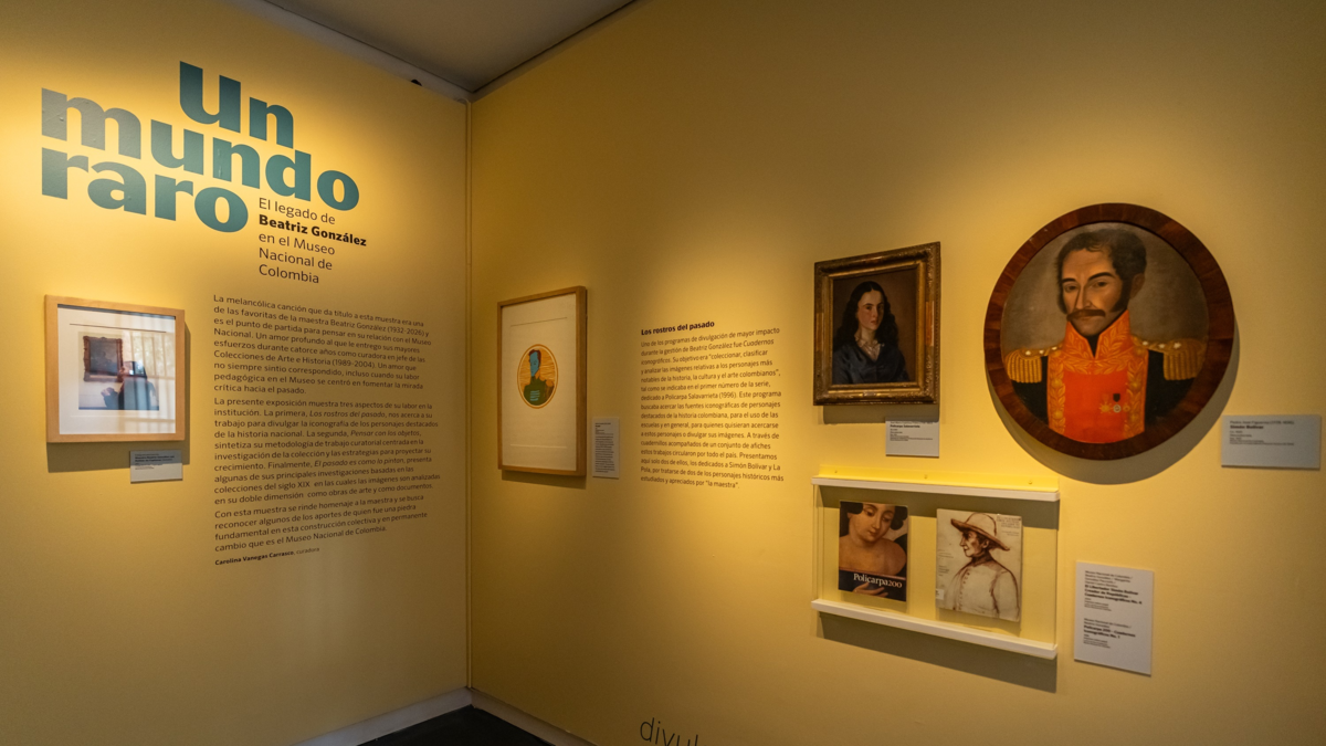 Exposición de Beatriz González en el Museo Nacional explora sus facetas menos conocidas, como investigadora y curadora