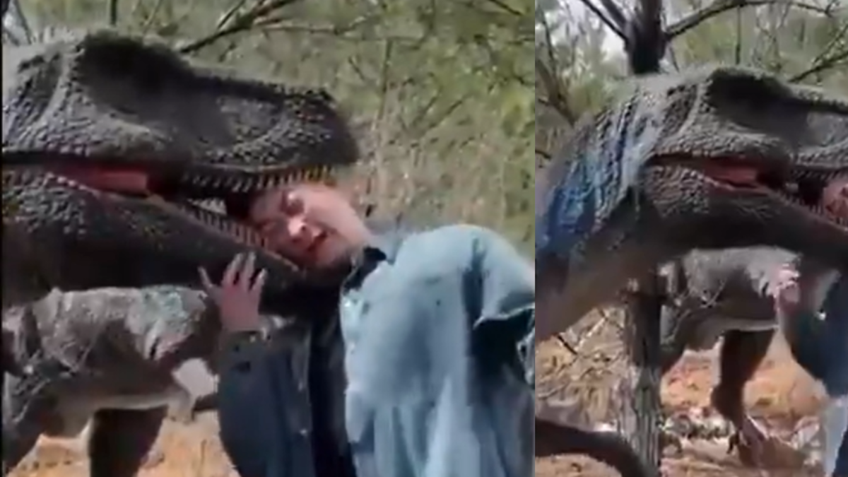 Hombre resultó herido tras ataque de dinosaurio robótico en parque temático de China: quiso tomarse una foto