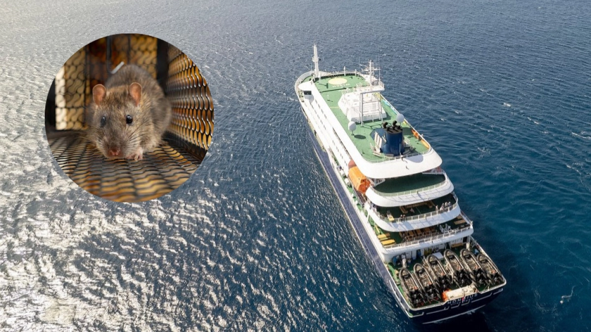 ¿Qué pasa con el cuerpo de alguien que muere en un crucero? Preocupación por el contagio masivo de hantavirus