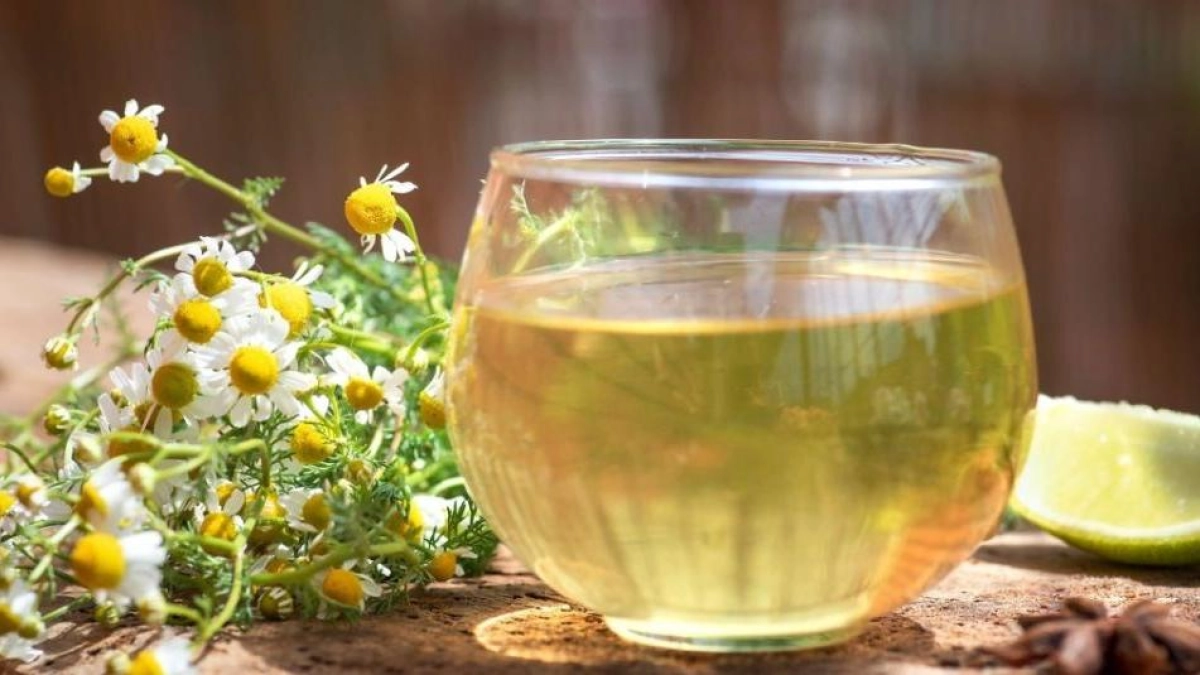 5 beneficios de la infusión de manzanilla para la salud del hígado y la digestión