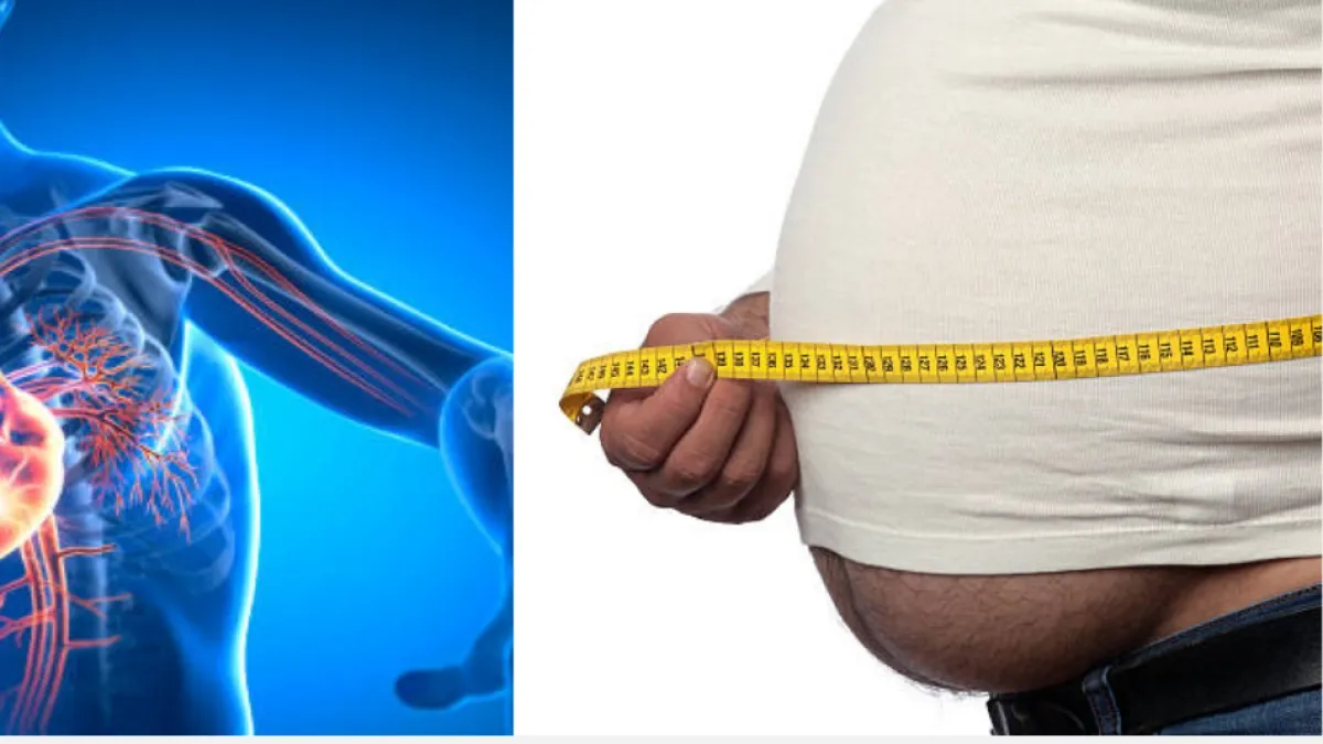 No solo un infarto: tener barriga voluminosa aumenta el deterioro cerebral, dice estudio