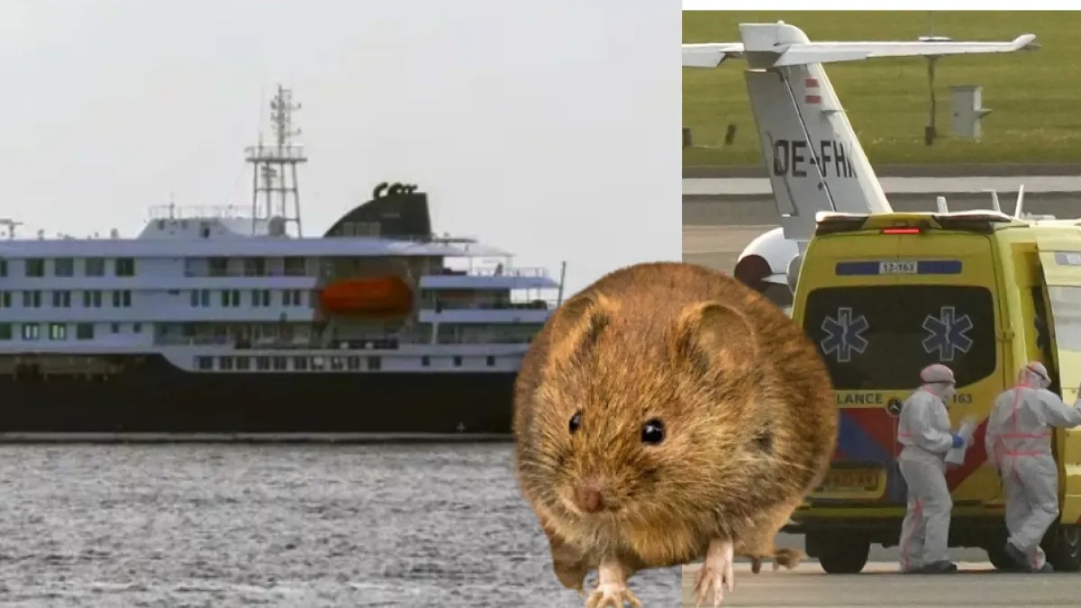 Aumentan casos de hantavirus en Argentina en medio de contagios en crucero: primeras víctimas viajaron por 3 países de Latinoamérica antes de morir