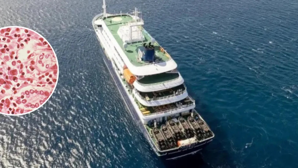 Revelan itinerario de las primeras víctimas por brote de hantavirus en crucero: los países de Latinoamérica y recorridos que hicieron antes de morir