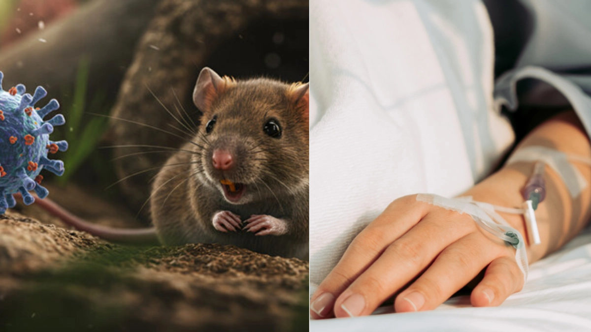 Venezuela confirma tres fallecimientos por brote de hantavirus: 'Diagn&oacute;stico confirmado'