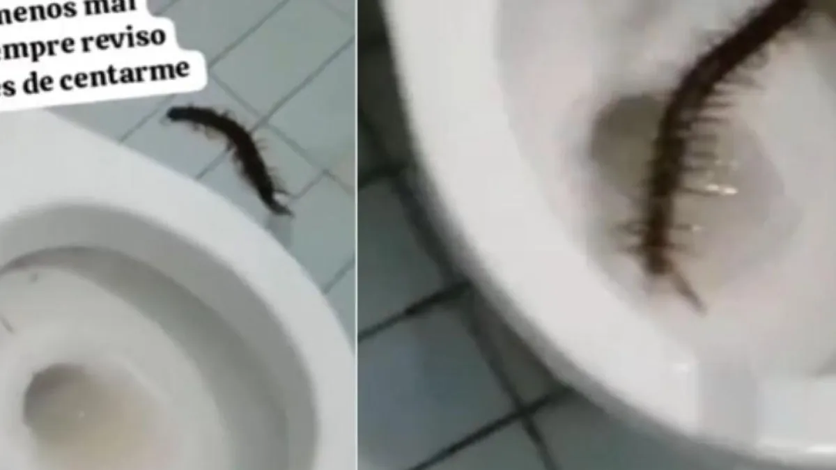 Video | Hombre estaba de vacaciones en Aguachica y lo que encontró en el baño fue espeluznante: 'Siempre reviso'