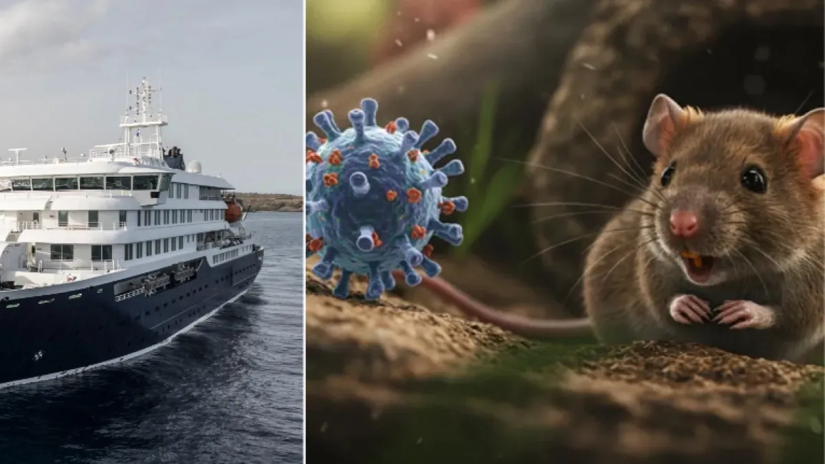 Hantavirus | ¿Puede causar una pandemia? ¿Qué tan grave es? Todo lo que debe saber sobre el patógeno que encendió las alarmas del mundo