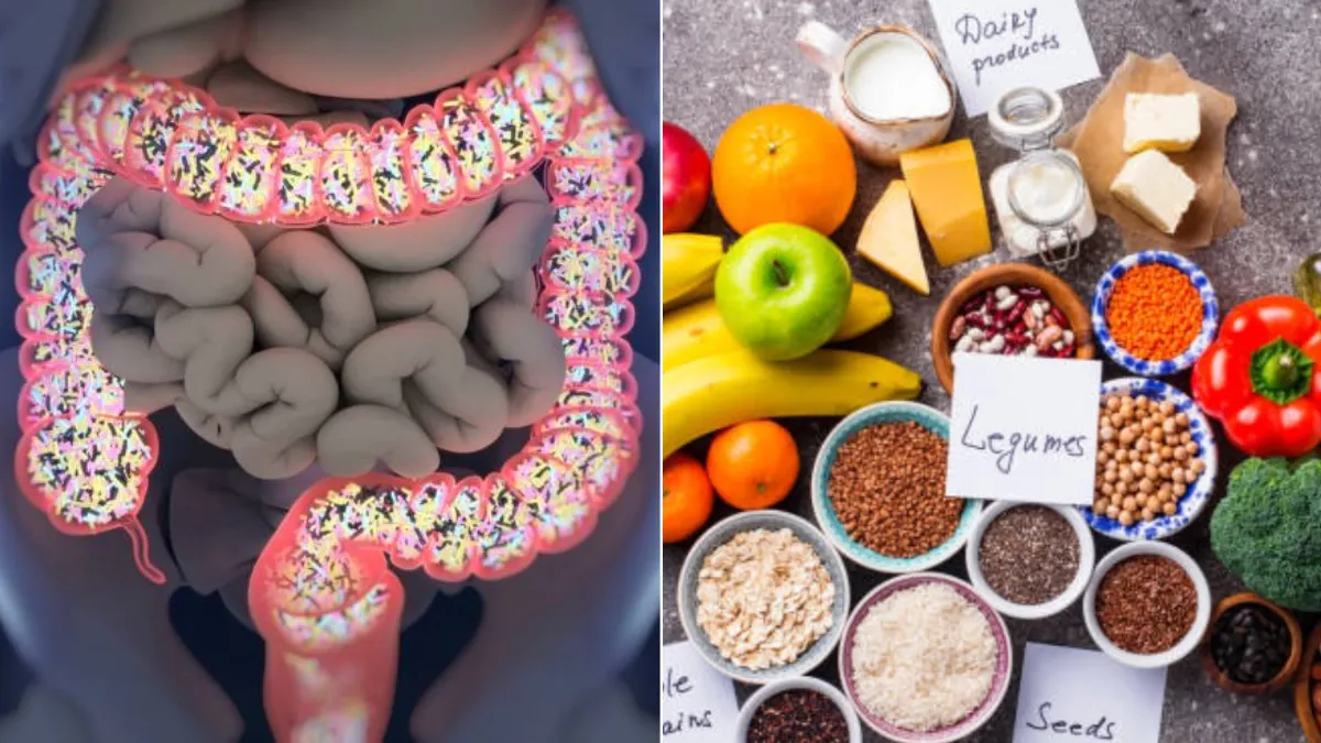 Lo que debe comer para fortalecer la microbiota intestinal: el secreto de los alimentos ideales para la salud digestiva