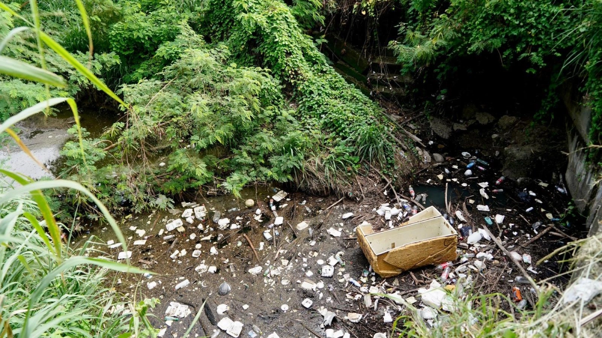 Tras avistamiento de una nutria neotropical, CAR Cundinamarca interviene cuerpo hídrico en Girardot