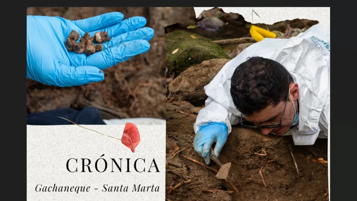 La fosa escondida en la Sierra Nevada que aún guarda muertos de la guerra paramilitar | Crónica
