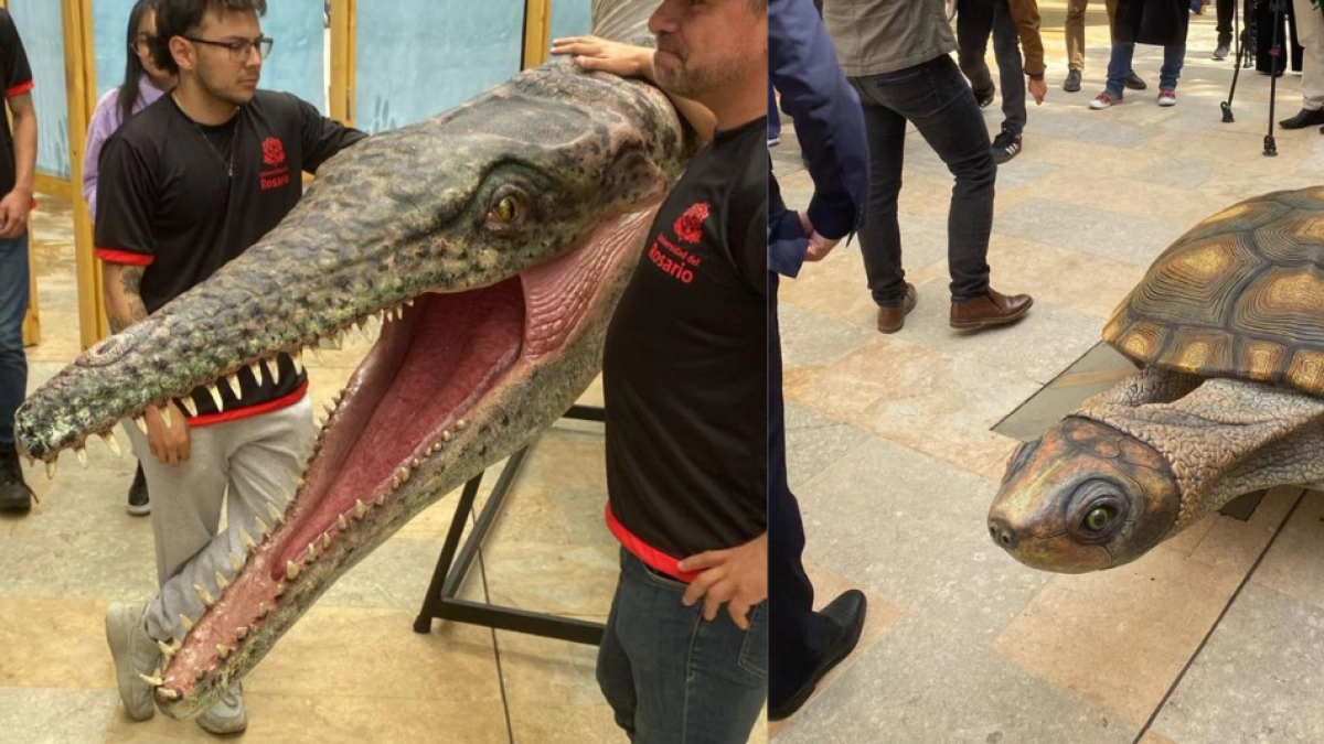 Ecos de Gigantes llega al Caribe: la exposición de fósiles de la Titanoboa y hallazgos inéditos de las minas La Guajira estará en varias ciudades