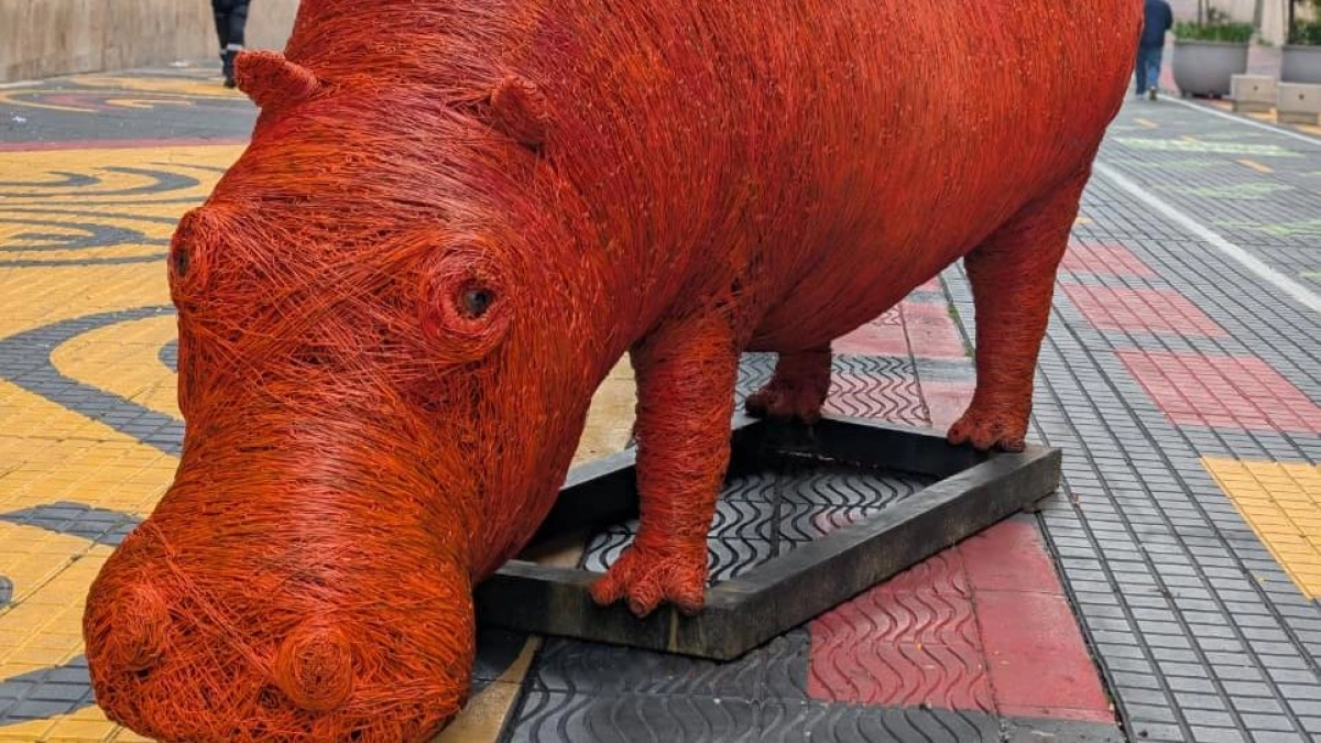Un hipopótamo gigante se instalará en el centro de Bogotá como nueva obra de arte público: se trata de 'Resiliencia', una monumental escultura