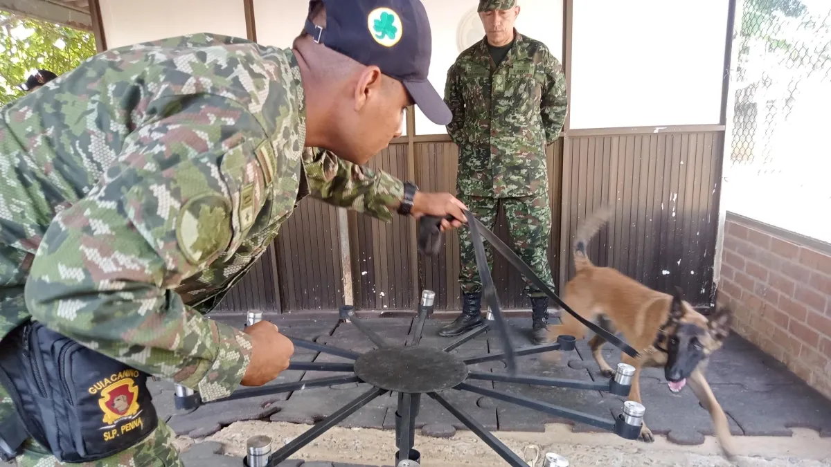 El nuevo laboratorio clínico para los héroes de cuatro patas que protegen a la población detectando explosivos o drogas en el Valle del Cauca