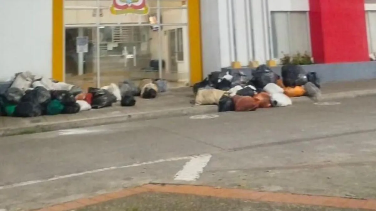 Proliferación de moscas y olores fétidos en Rionegro tras la falta de recolección de basuras hace más de 10 días