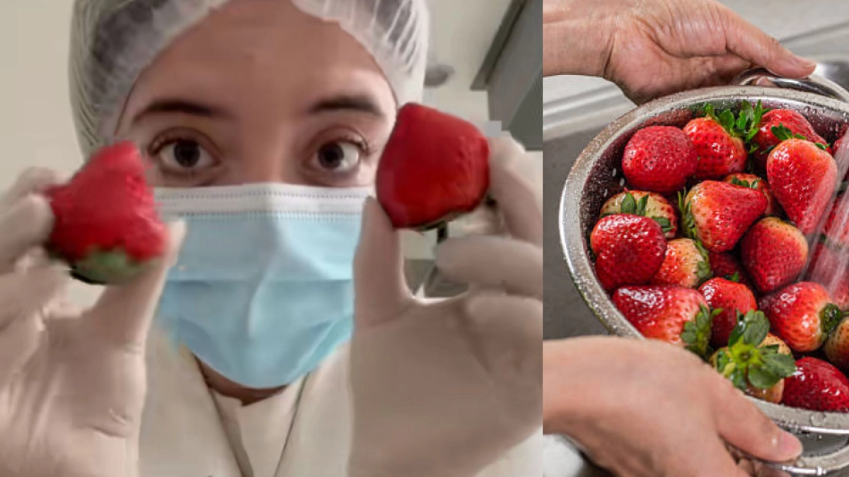 ¿Lavar las fresas con agua o con vinagre? Ingeniera química y de alimentos respondió