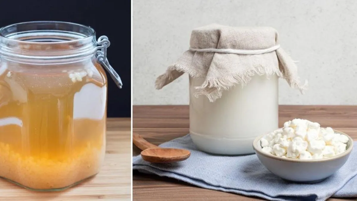 Kéfir de agua vs. kéfir de leche: diferencias, propiedades y beneficios para la salud