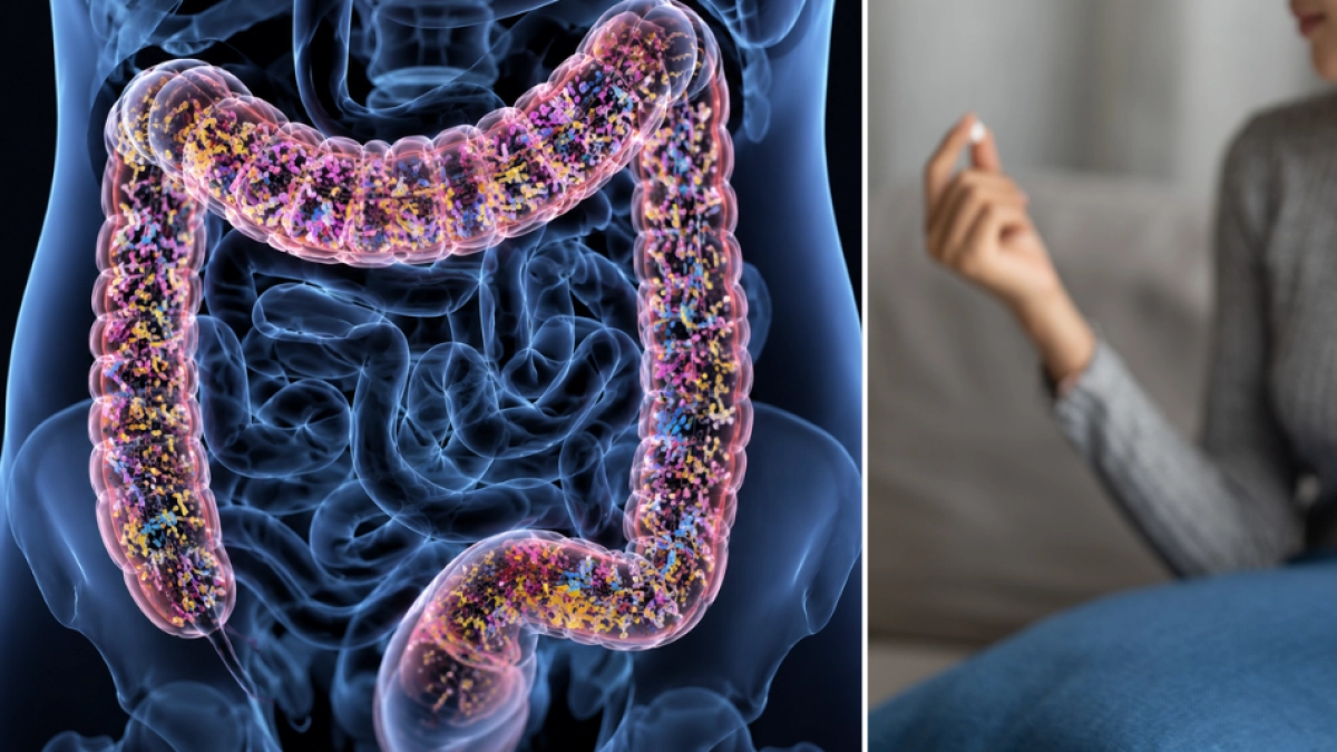 Harvard revela cómo recuperar la microbiota intestinal después de tomar antibióticos: estos alimentos ayudan más que los probióticos