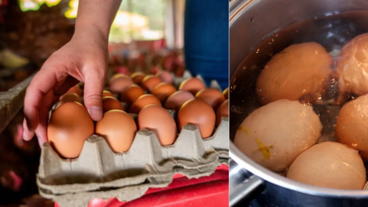Experimento aclara todas las dudas: ¿los huevos se deben empezar a cocinar con agua fría o hirviendo?