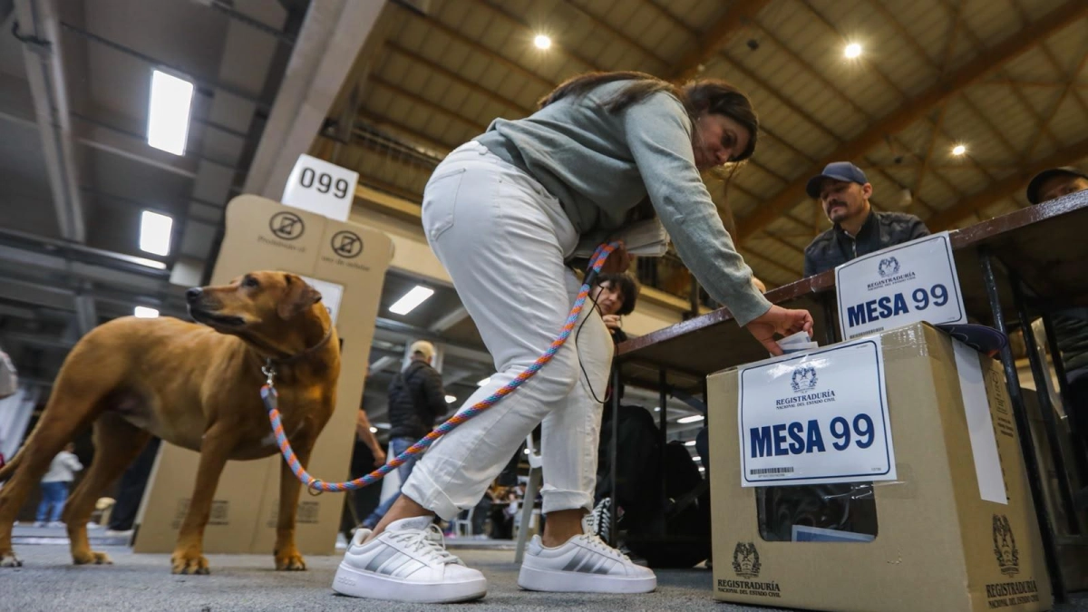 La observación electoral fue fundamental en las elecciones presidenciales de 2026 en Colombia