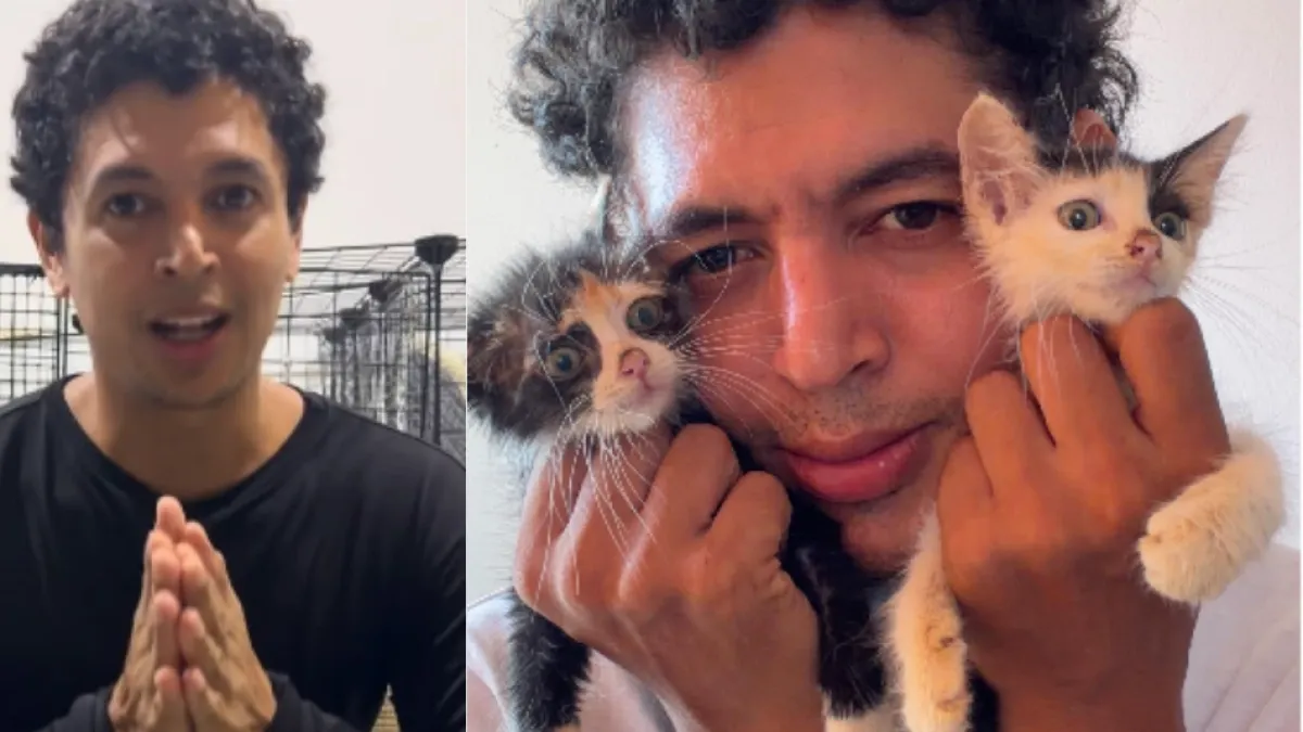 Fundación de gatitos en Barranquilla busca ayuda para no cerrar: 'Estamos atravesando uno de los momentos más difíciles del refugio'