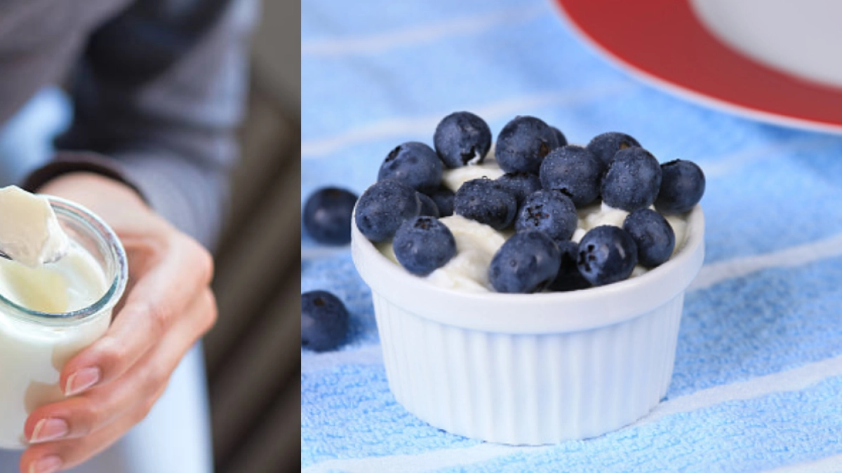 Neurocientífico reveló que consume yogur con arándanos todos los días 'porque estimulan la producción de BDNF, la mejor proteína para el cerebro'