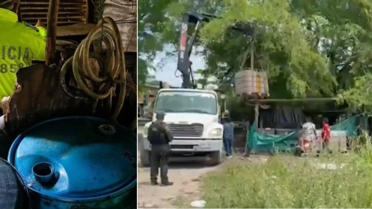 Cae banda que robaba cargamentos de aceite de palma avaluados en más de $1.000 millones en el Catatumbo