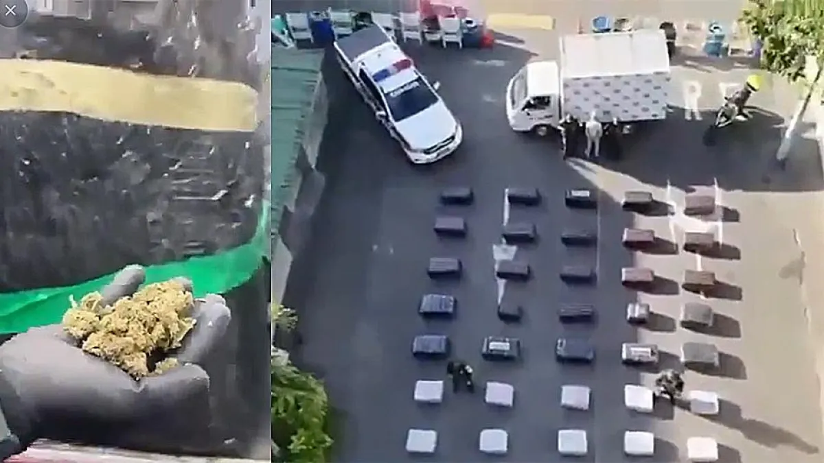 'Kamikaze': así es la modalidad criminal usada por los narcos para mover toneladas de marihuana en el Valle