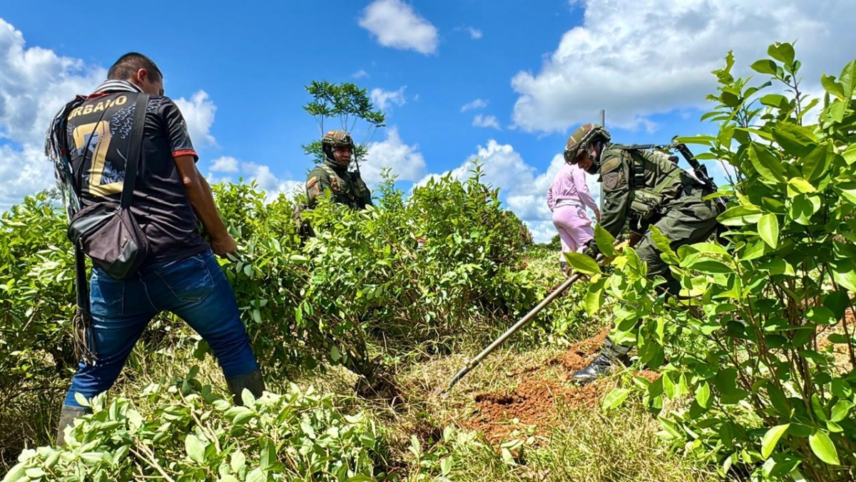 Los reparos a la resolución del gobierno sobre el uso del glifosato para la erradicación de cultivos de coca en 15 departamentos