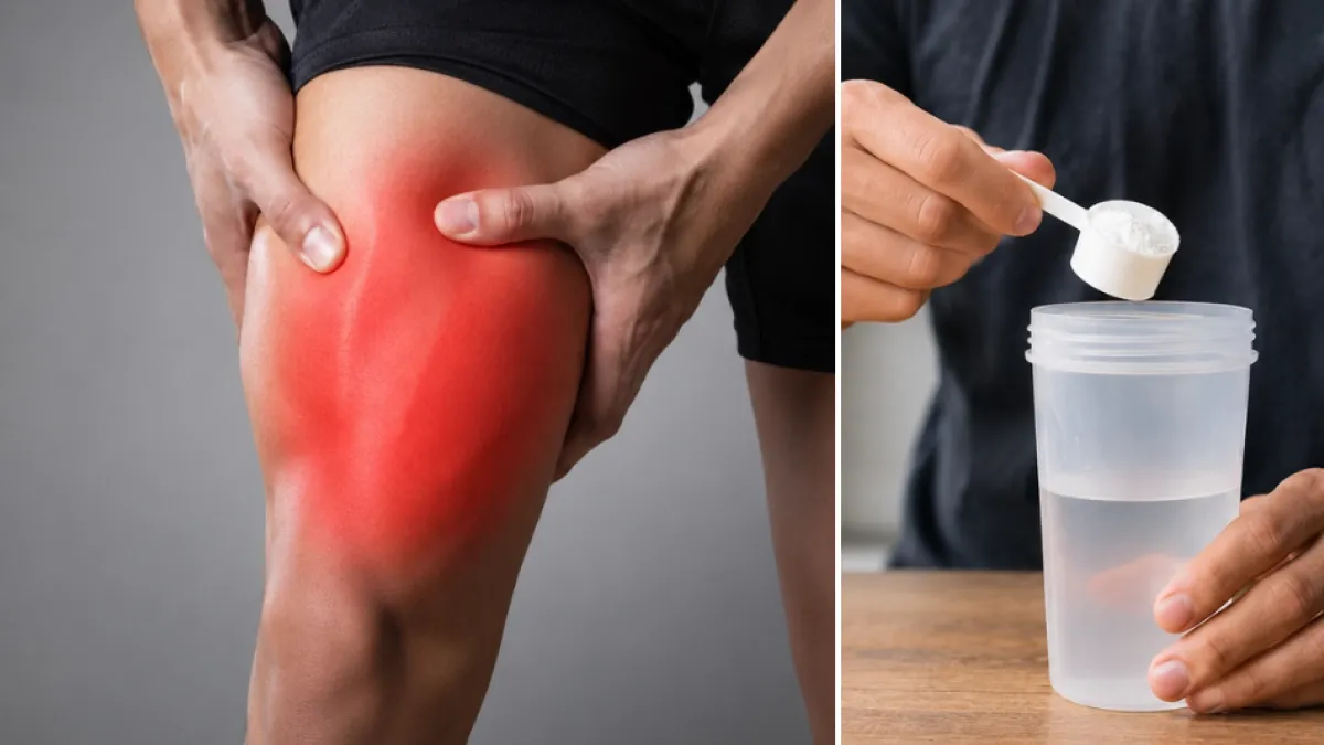 Estudio revela que la creatina, el suplemento preferido como 'batería rápida' para la recuperación en el gimnasio, no reduce la inflamación muscular