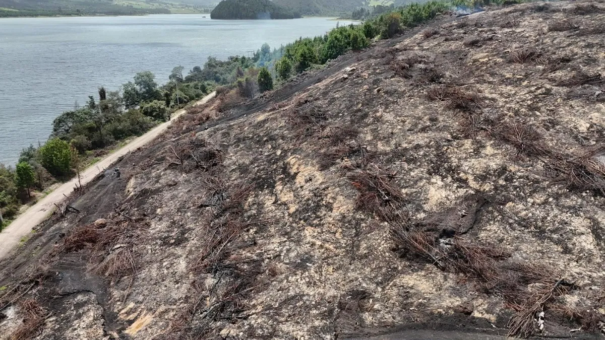Cundinamarca y Boyacá se preparan para el fenómeno de El Niño: los 20 municipios bajo la lupa por amenaza de incendios forestales y estrés hídrico