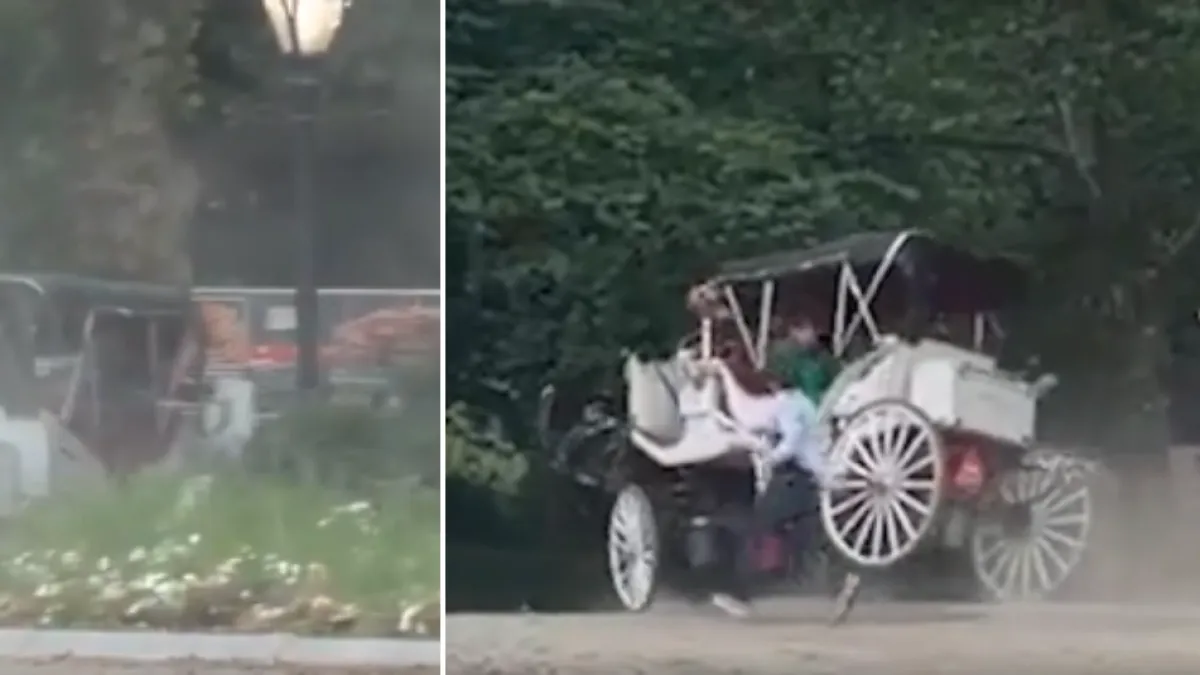 Turista murió tras intentar salvar la vida de su mamá en medio de paseo en caballo por Central Park, en Estados Unidos: fuertes imágenes de la caída