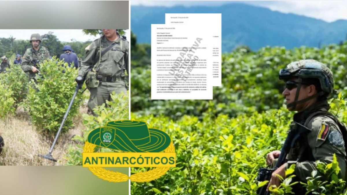 Policía aplaza por tercera vez millonario contrato de erradicación manual de narcocultivos: hay denuncias sobre supuestas presiones de exoficiales