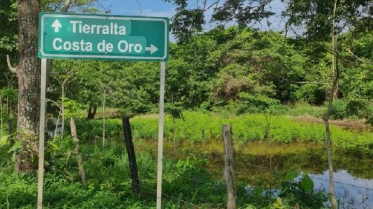 Tierralta vuelve a quedar en la mira por la presión del EGC, alerta Cordoberxia