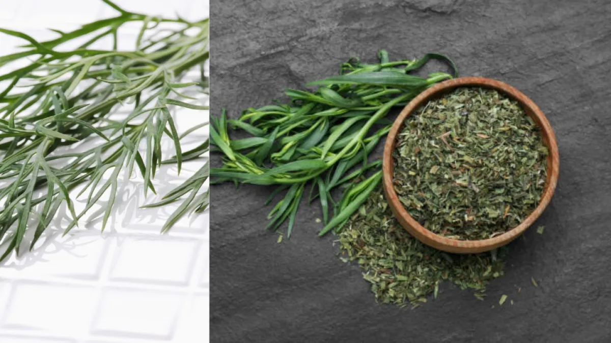 La hierba estrella de la gastronomía francesa que mejora la digestión de proteínas: es carminativa y alivia la hinchazón