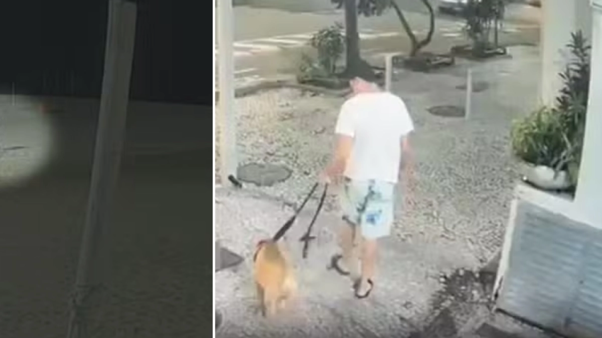 Indignación por el caso de un hombre acusado de ahogar a su perrito en el mar de Copacabana: 'Lo traicionó la persona en la que más confiaba'