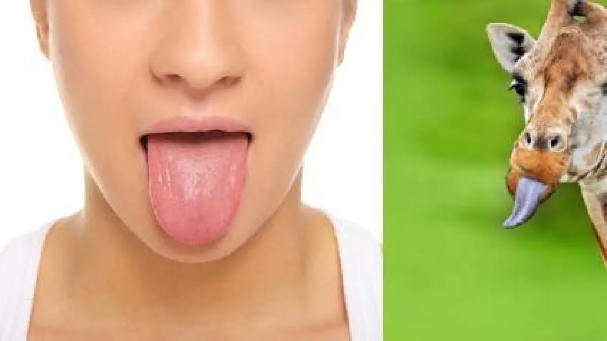 ¿Cómo la lengua permitió que los animales salieran del mar y conquistaran la tierra?