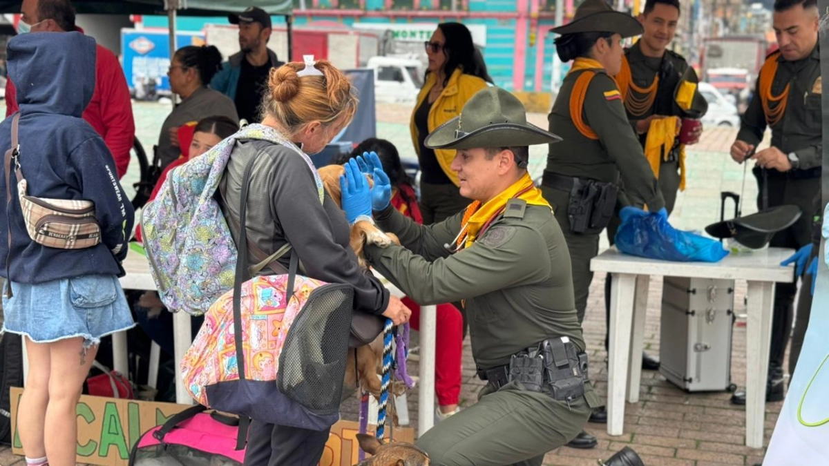 Habitantes de calle y sus mascotas recibieron atención en salud y otros servicios en jornada de la Policía de Bogotá