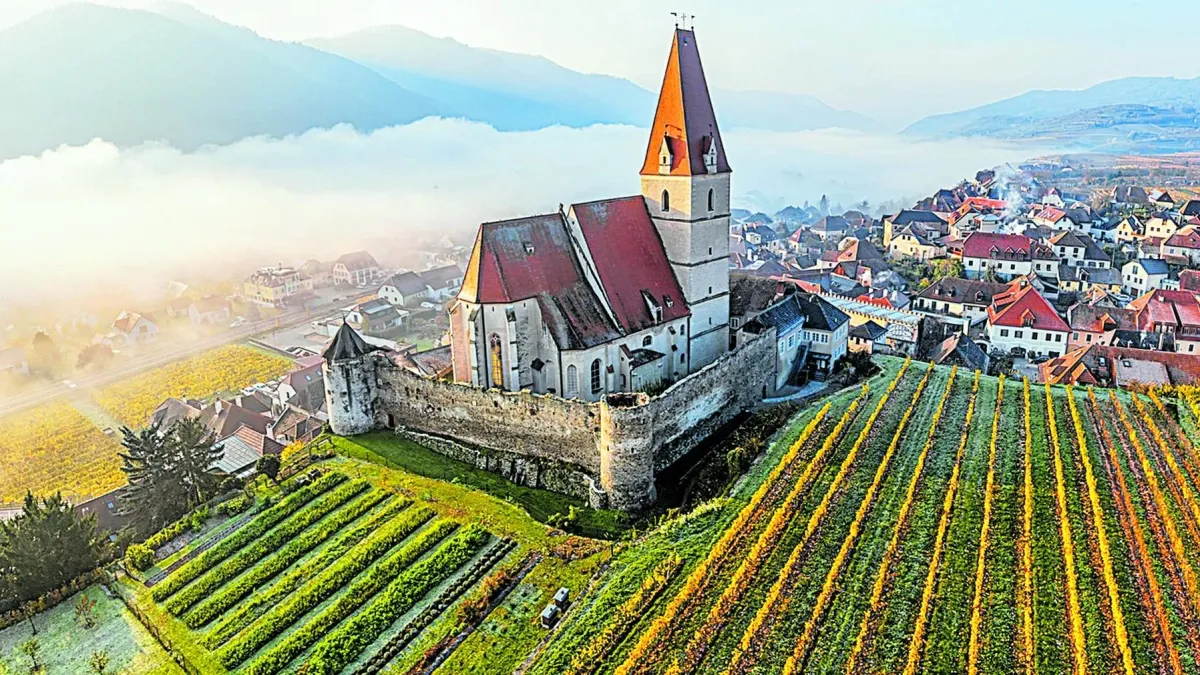 Cinco rutas del vino en Europa para descubrir el auténtico sabor del ‘terroir’