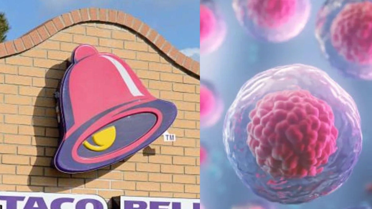 Ingrediente contaminado de Taco Bell sería la fuente del parásito que causó brote de diarrea explosiva en Estados Unidos: esto encontró investigación