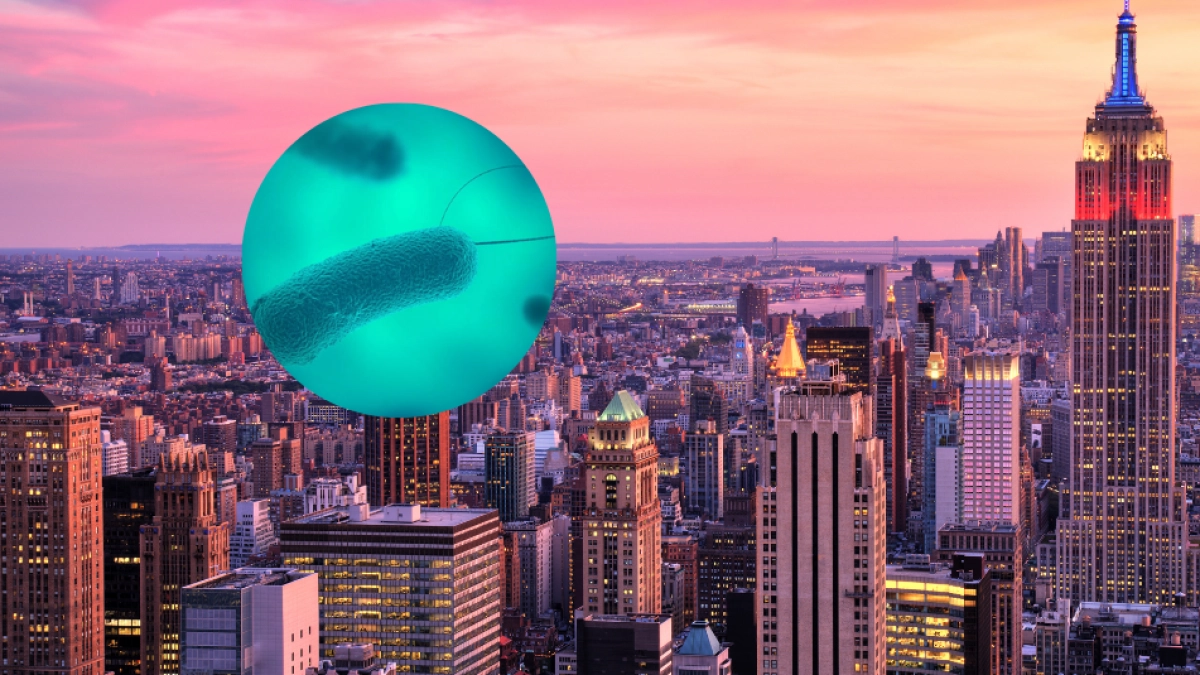Esta es la enfermedad que causó brote en Nueva York y mantiene en alerta a Estados Unidos: detectaron rastros en museo