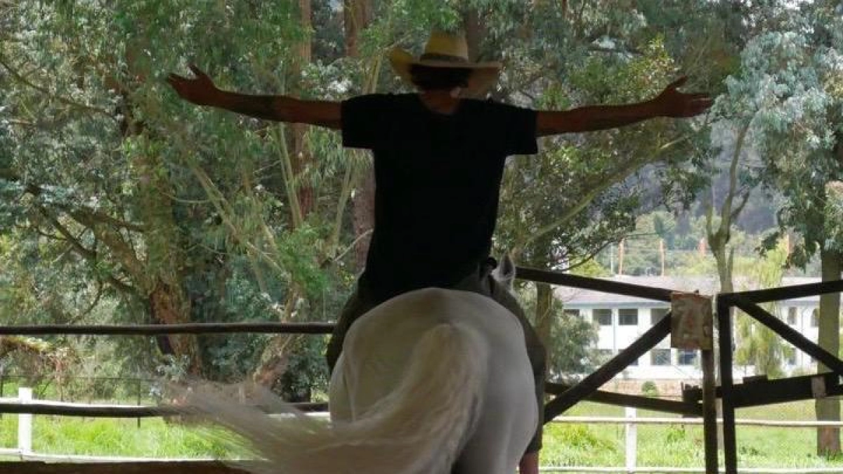 Colombia busca posicionarse como referente mundial en doma respetuosa y terapias asistidas con caballos