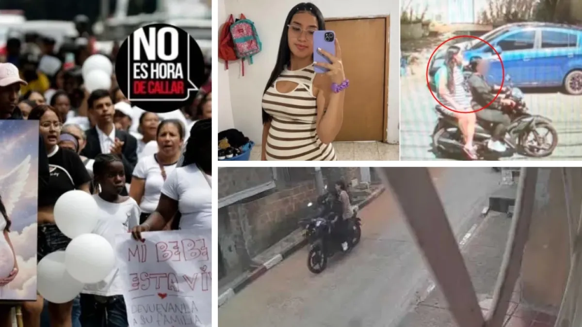 Habló pareja de María Camila Potosí, mujer embarazada que apareció muerta en río de Cali, y contó las últimas horas antes de su muerte: 'Desesperado'