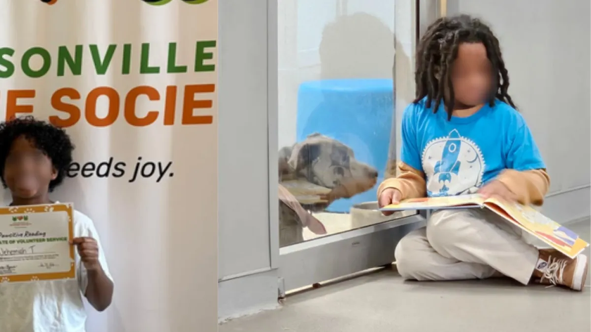 Con solo 11 años, dedicó más de 100 horas a leer para apoyar a un refugio de animales: 'Espero que sean adoptados'