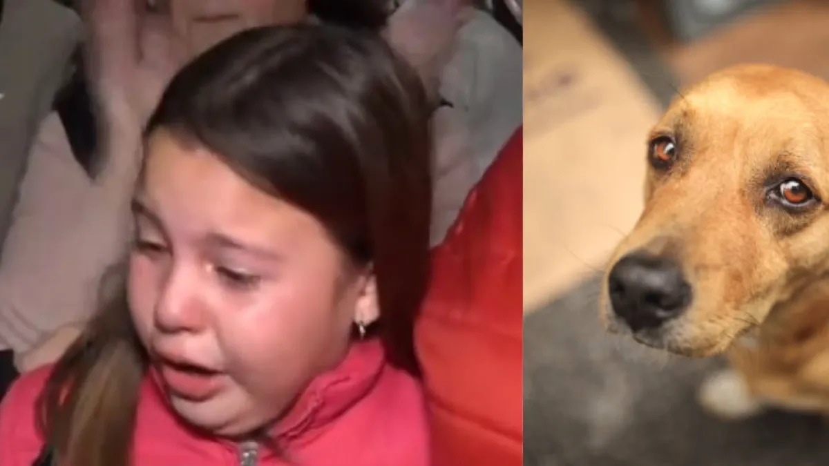 'Era mi único amigo': el dolor de una niña tras la muerte de su perro en el presunto envenenamiento masivo en Argentina