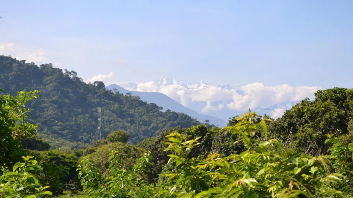 40 años cuidando el corazón del mundo: el trabajo de ProSierra frente a las nuevas amenazas que enfrenta la Sierra Nevada de Santa Marta