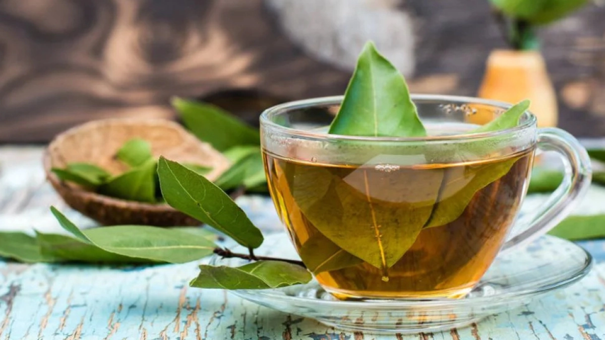 ¿Para qué sirve tomar té de laurel todos los días? Estos son los beneficios que dice la ciencia y cómo prepararlo bien
