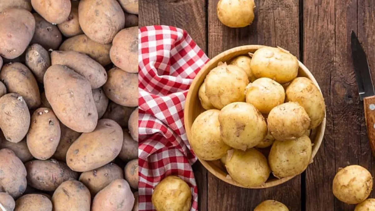 ¿Cómo evitar que a las papas les salgan raíces? Estos son los trucos para conservarlas por más tiempo
