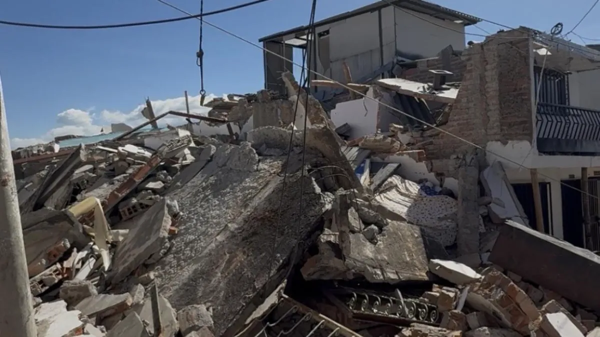 TERREMOTO: ¿Qué pasó con los pequeños?