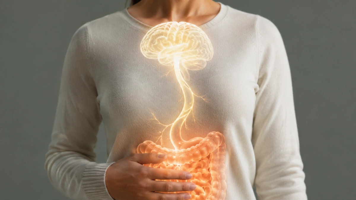 Cerebro e intestino, una conexión bajo la lupa: qué revelan los estudios sobre el poder de las bacterias intestinales
